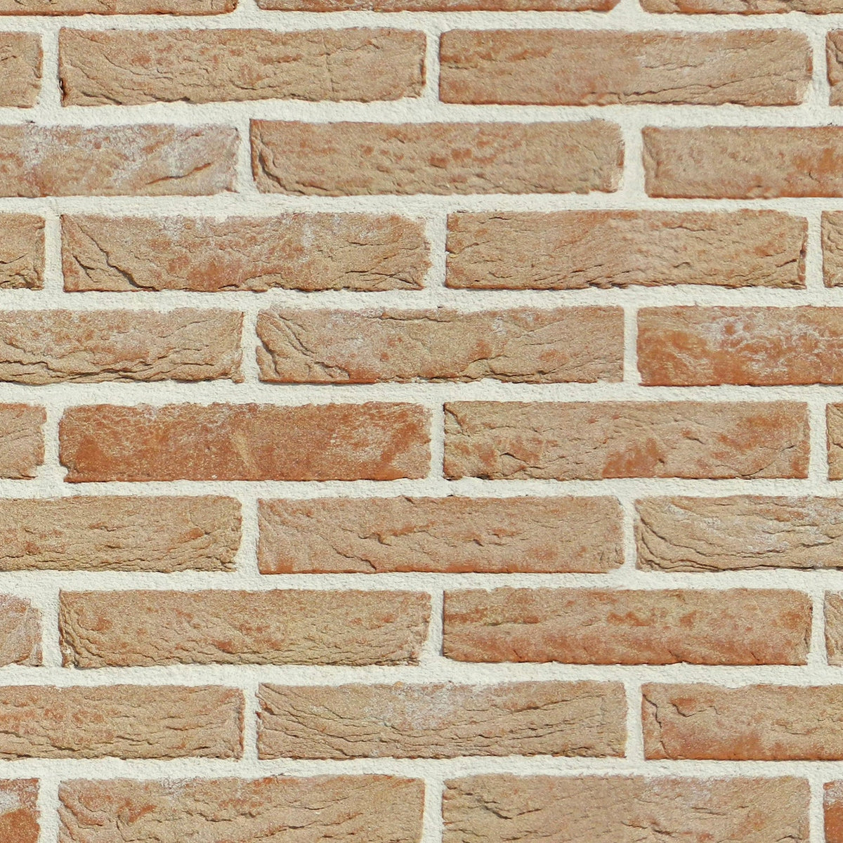 Toilettenrückwand Steinoptik