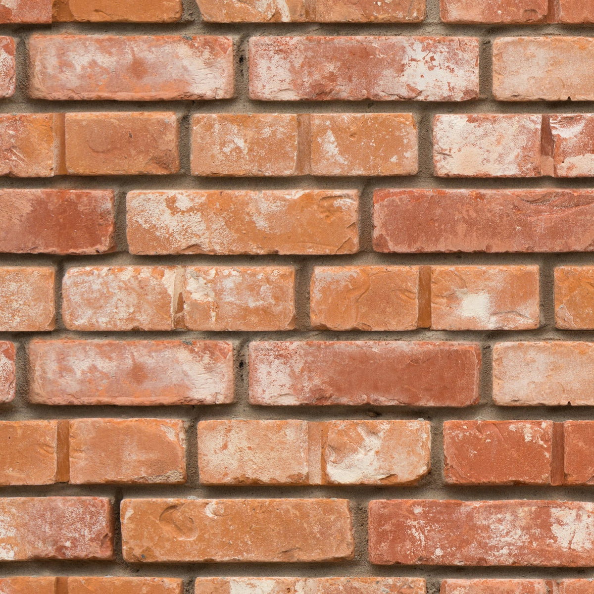 Duschrückwand Steinoptik