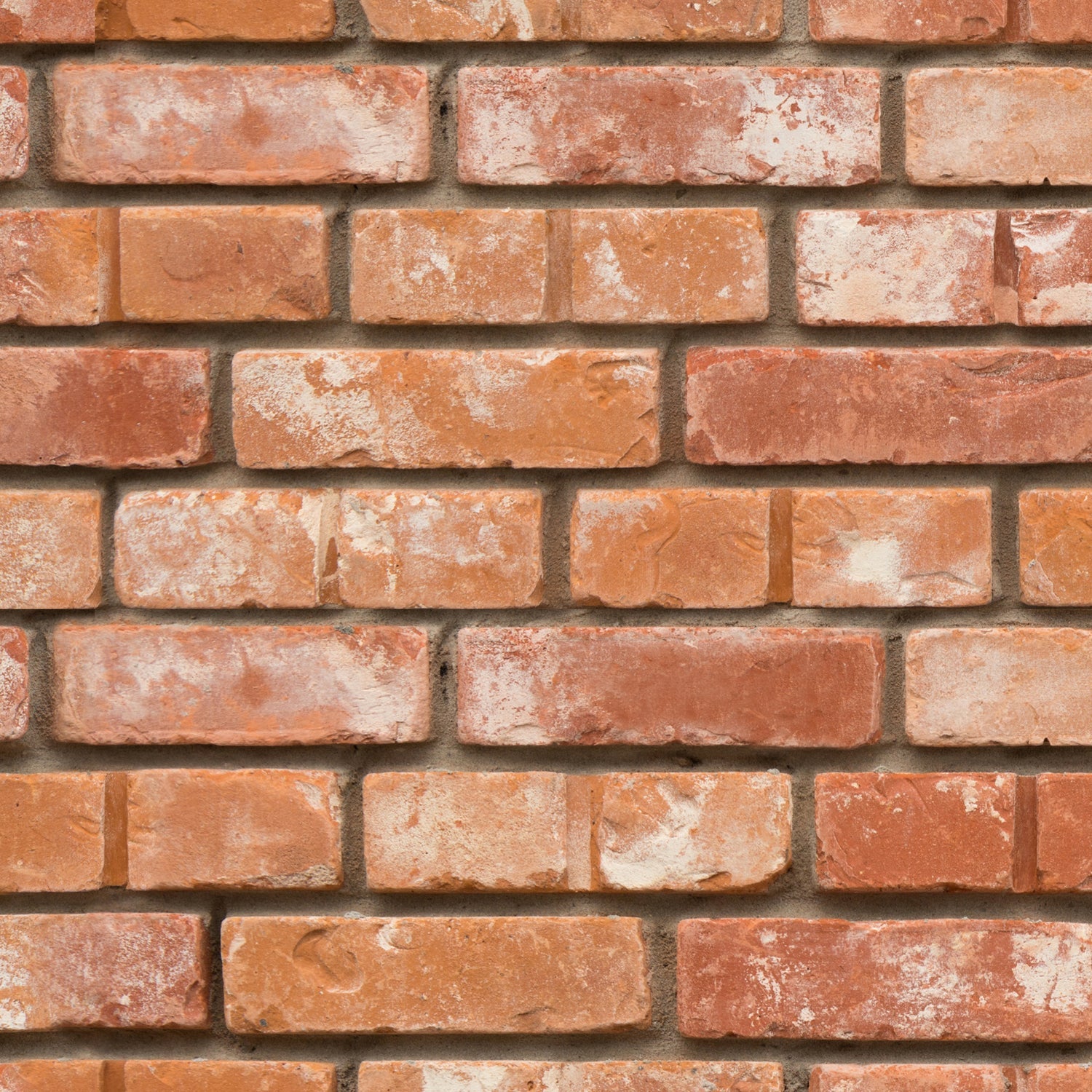 Duschrückwand Steinoptik