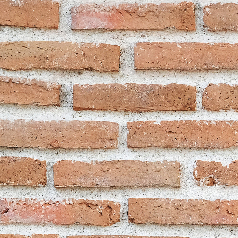 Duschrückwand Steinoptik