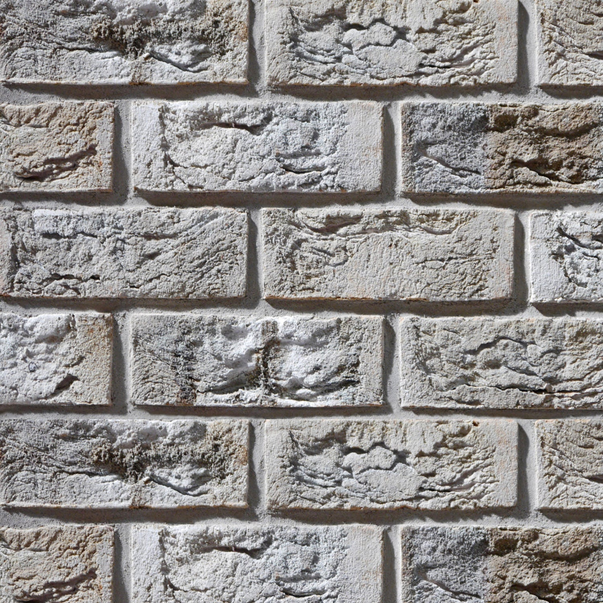 Duschrückwand Steinoptik