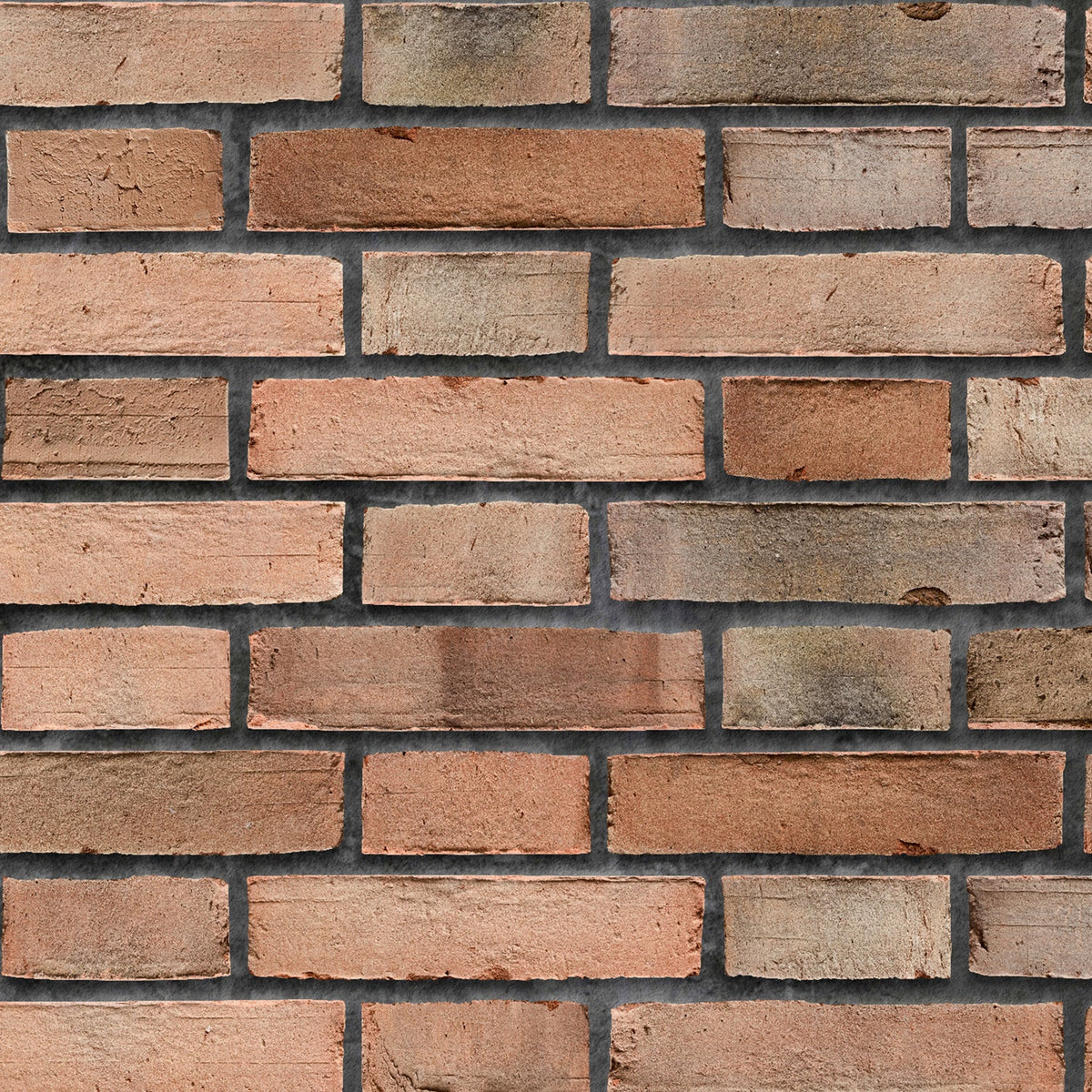 Duschrückwand Steinoptik