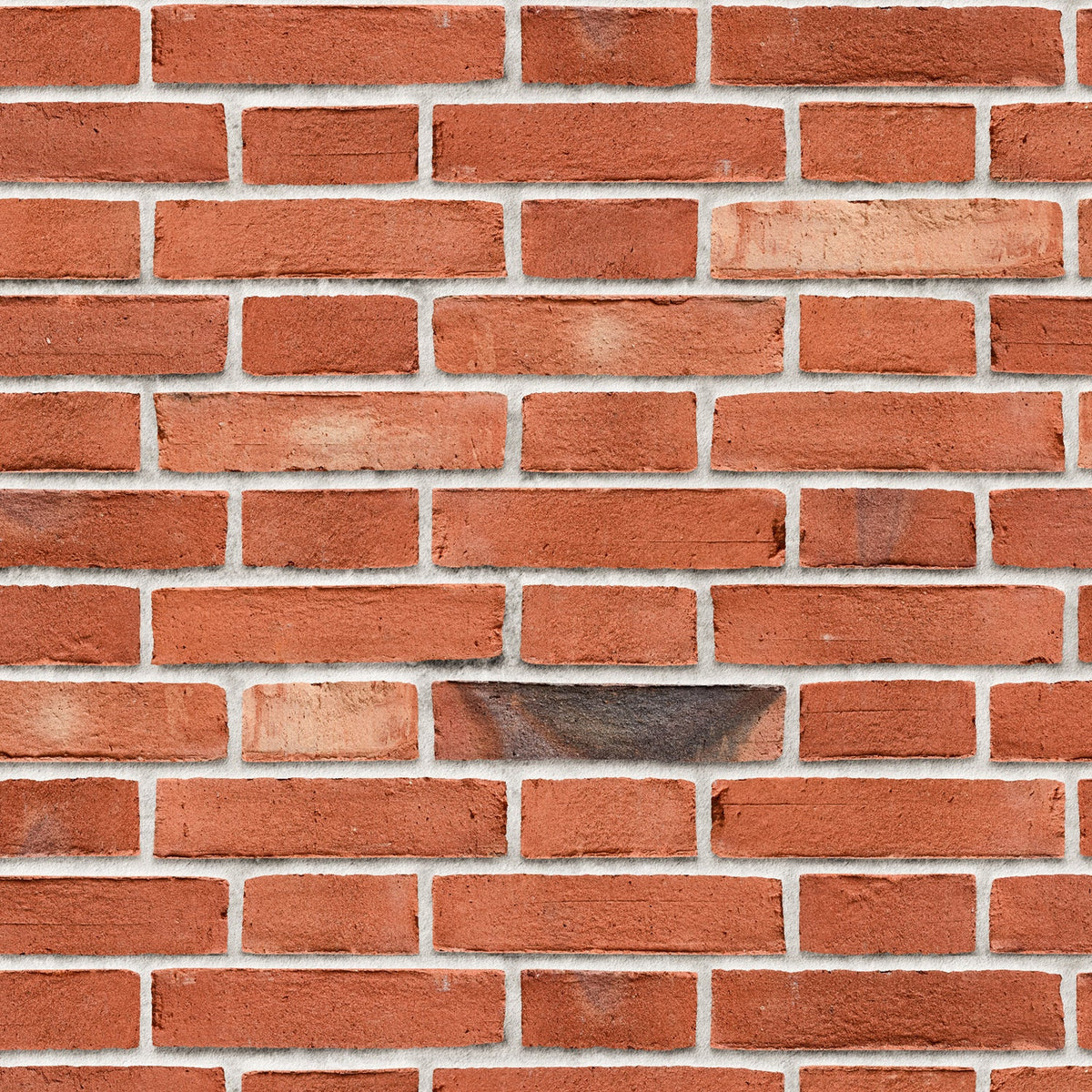 Duschrückwand Steinoptik