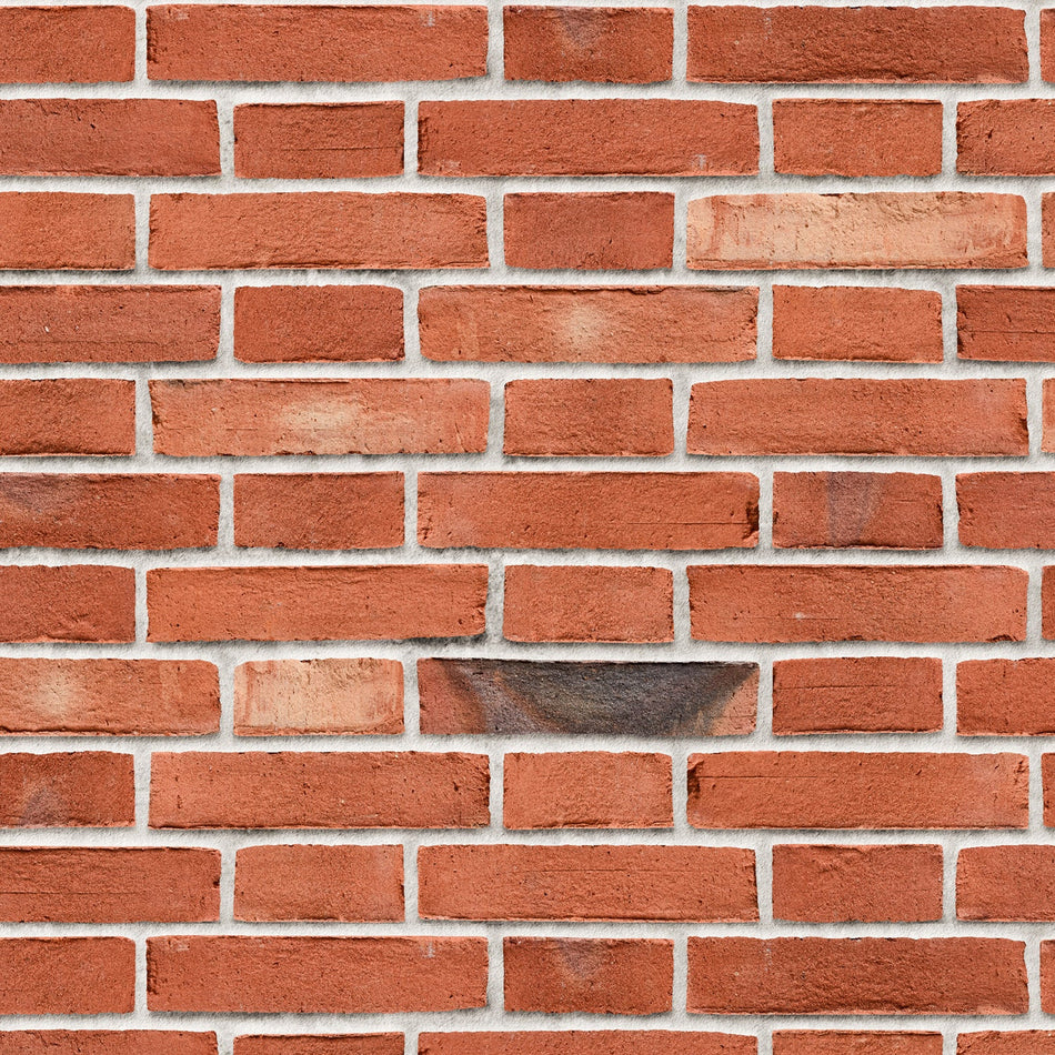 Duschrückwand Steinoptik