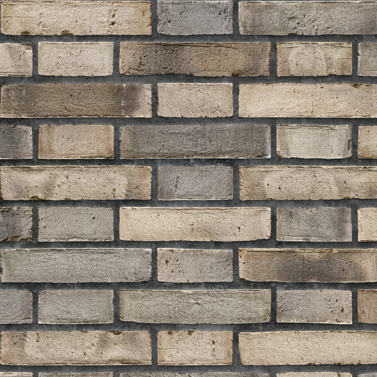 Duschrückwand Steinoptik