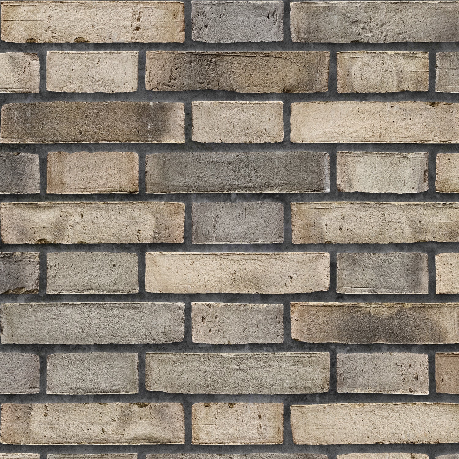 Duschrückwand Steinoptik
