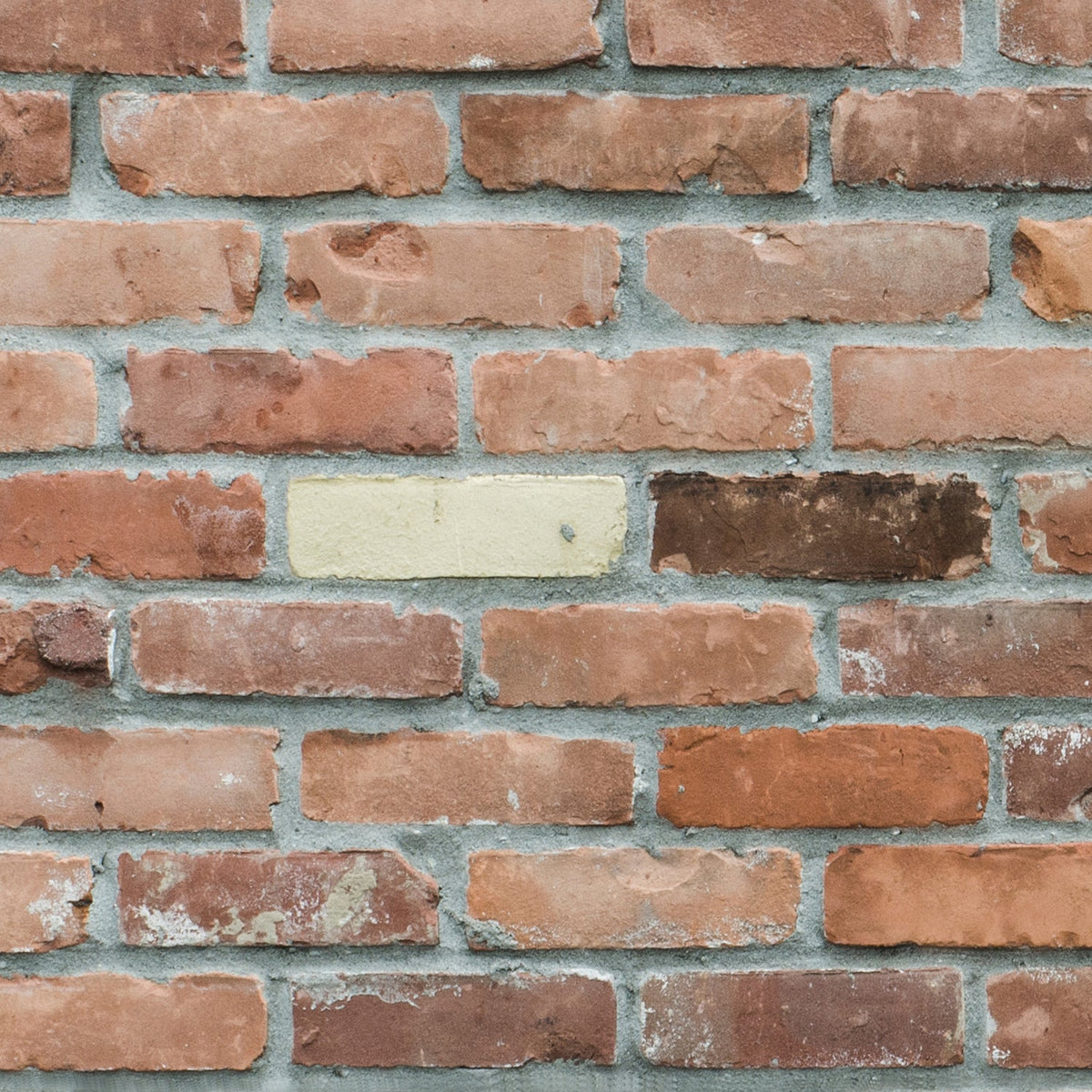 Duschrückwand Steinoptik