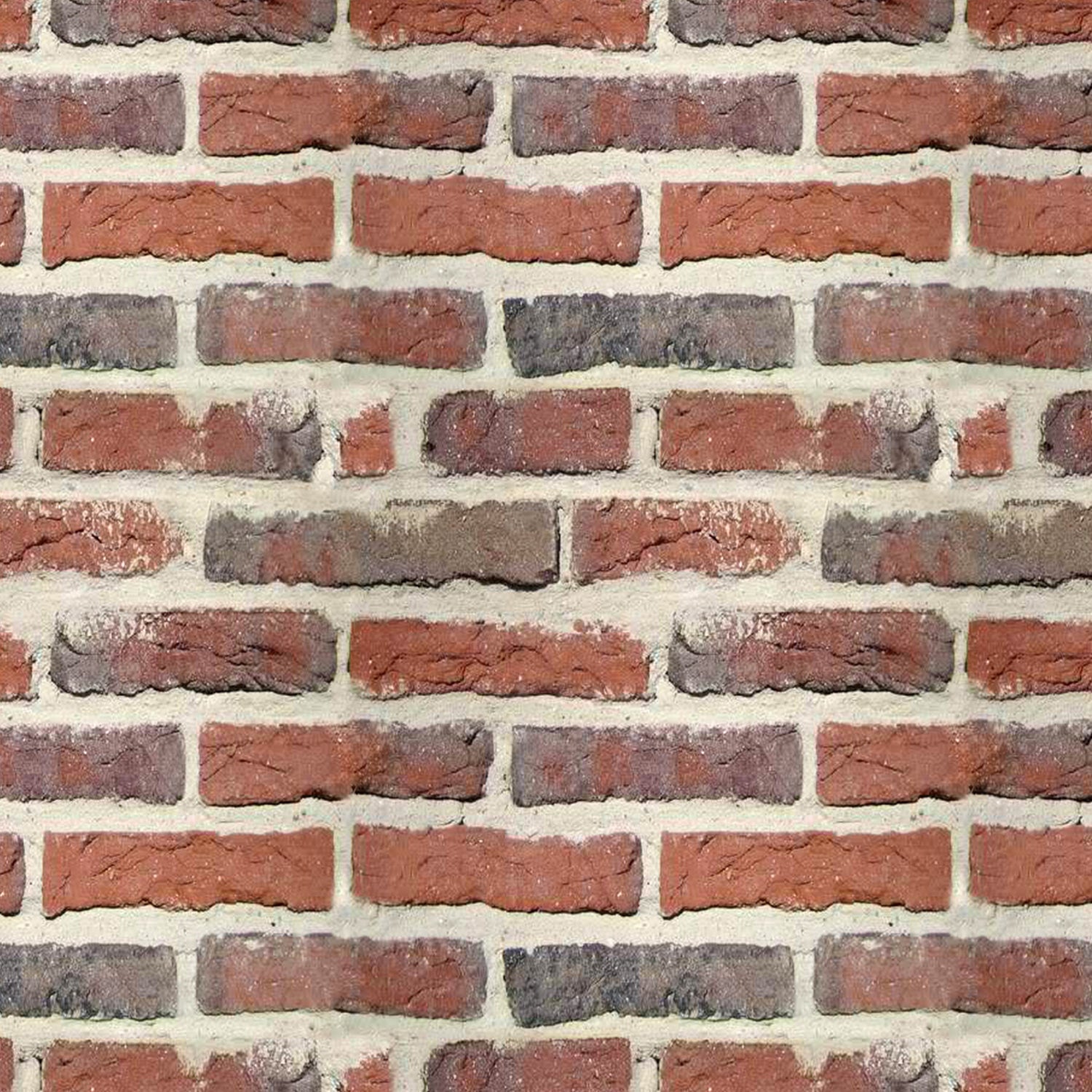 Duschrückwand Steinoptik