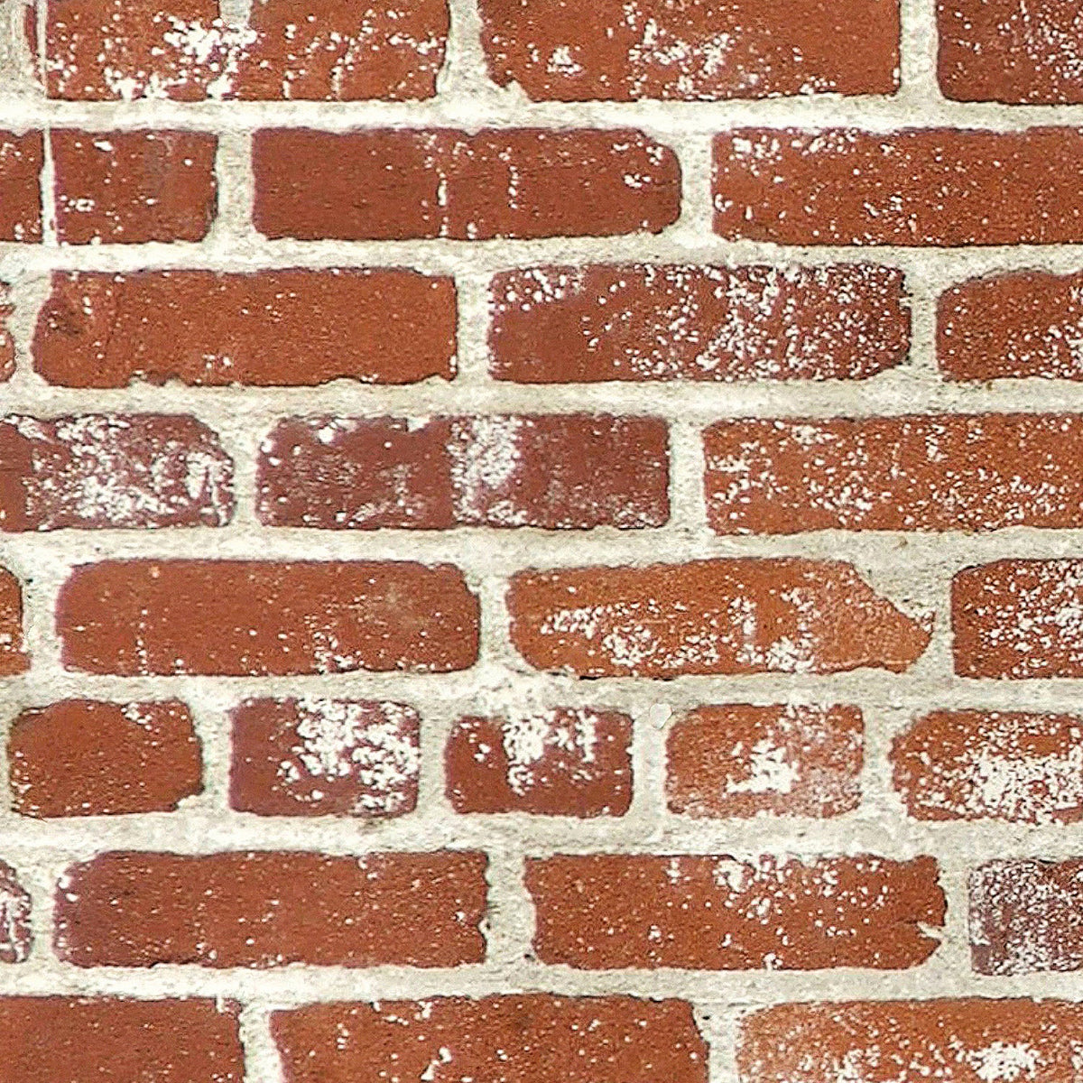 Toilettenrückwand Steinoptik