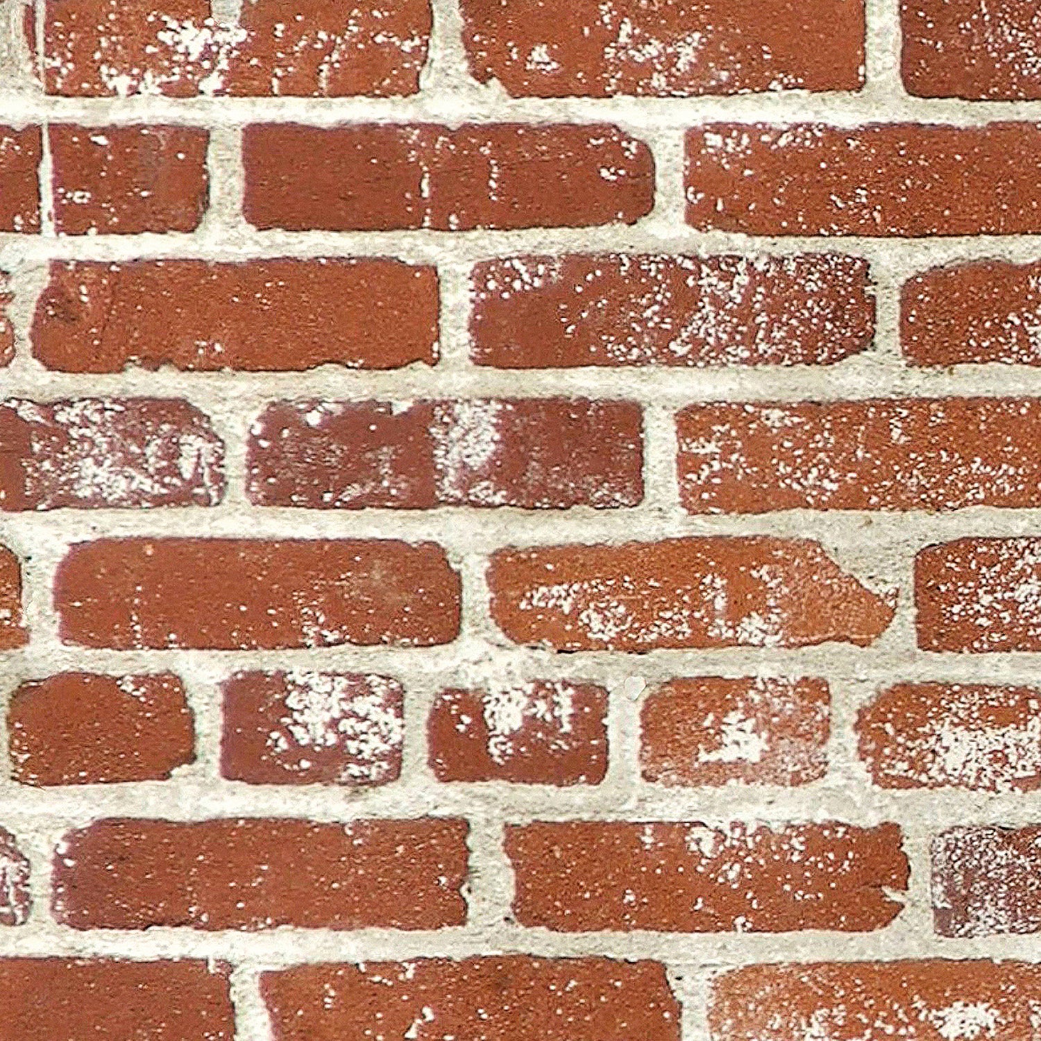 Duschrückwand Steinoptik