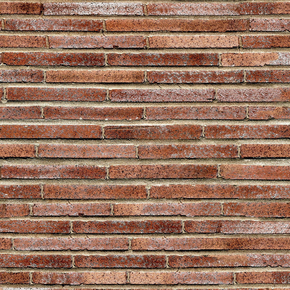 Badrückwand Steinoptik