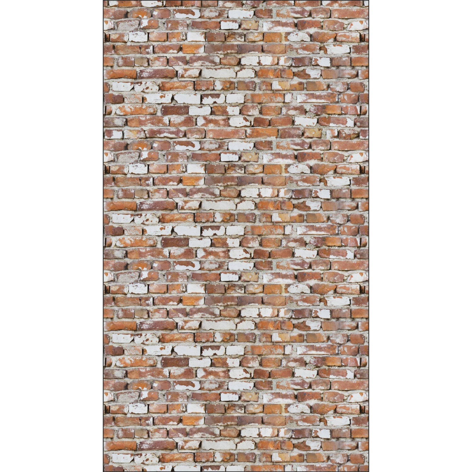 Duschrückwand Steinoptik