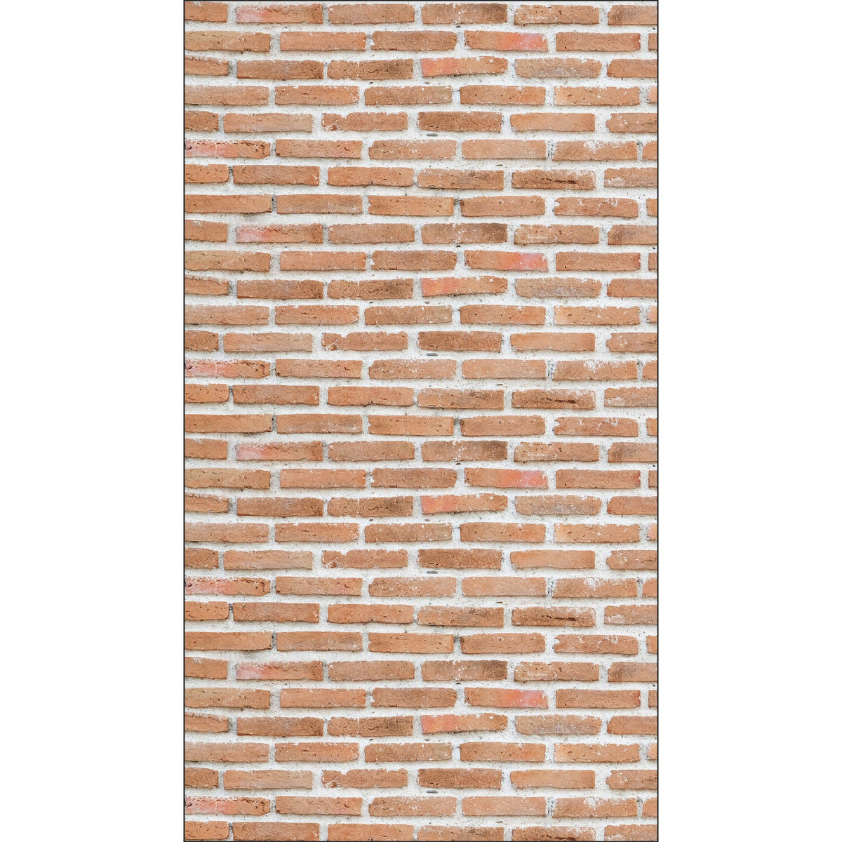 Duschrückwand Steinoptik