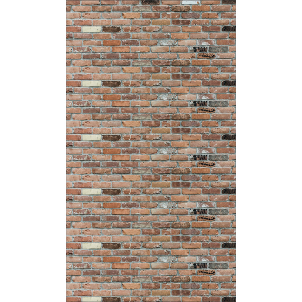 Duschrückwand Steinoptik