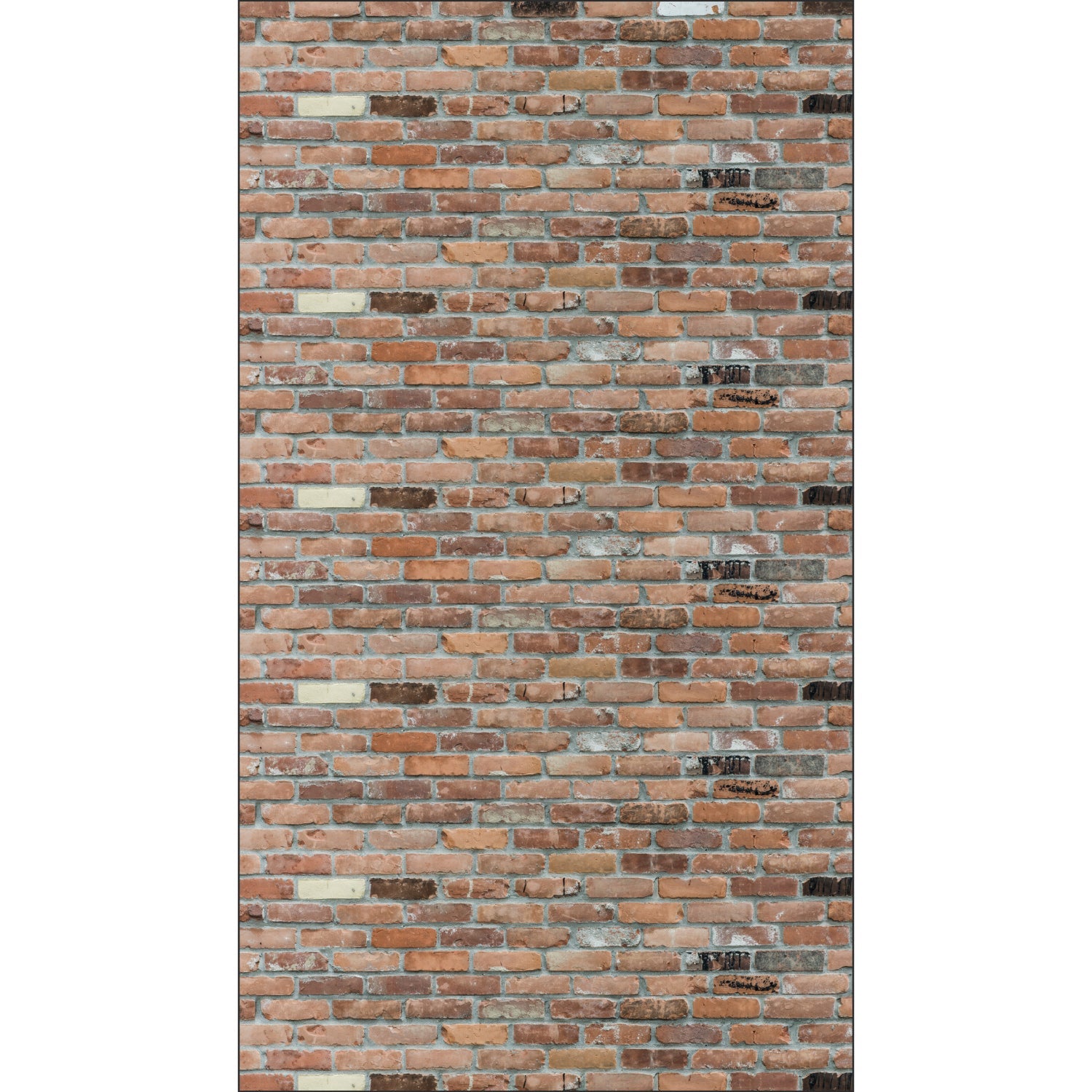 Duschrückwand Steinoptik