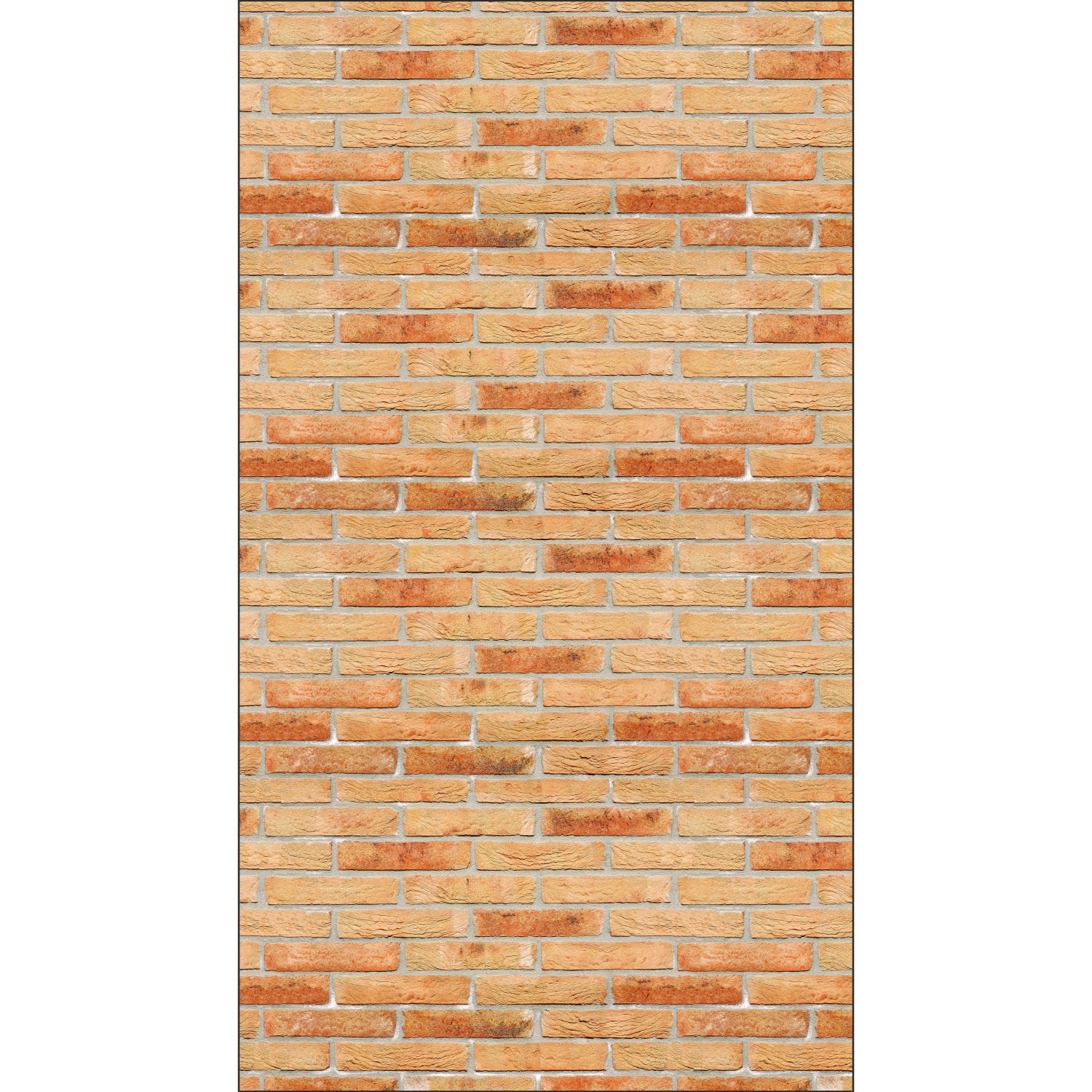 Duschrückwand Steinoptik