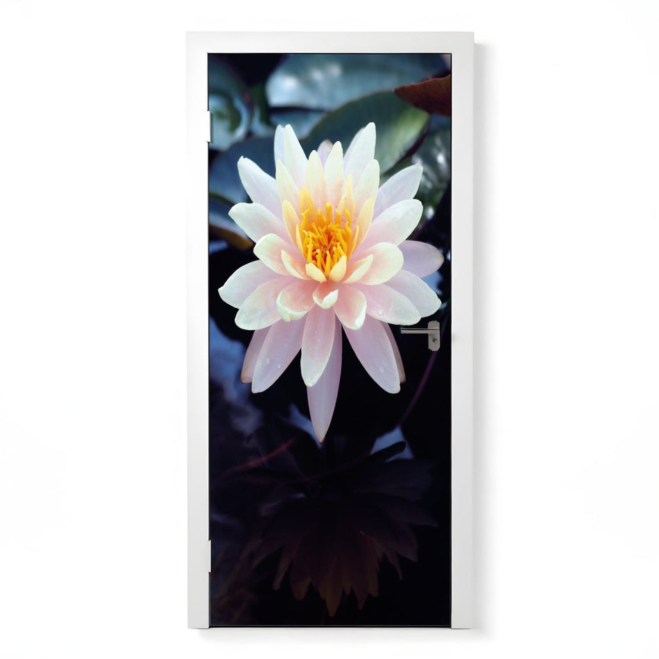 Türfolie Selbstklebend nach maß