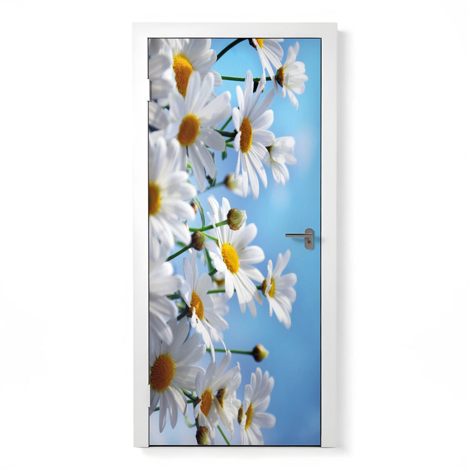 Türfolie Selbstklebend nach maß