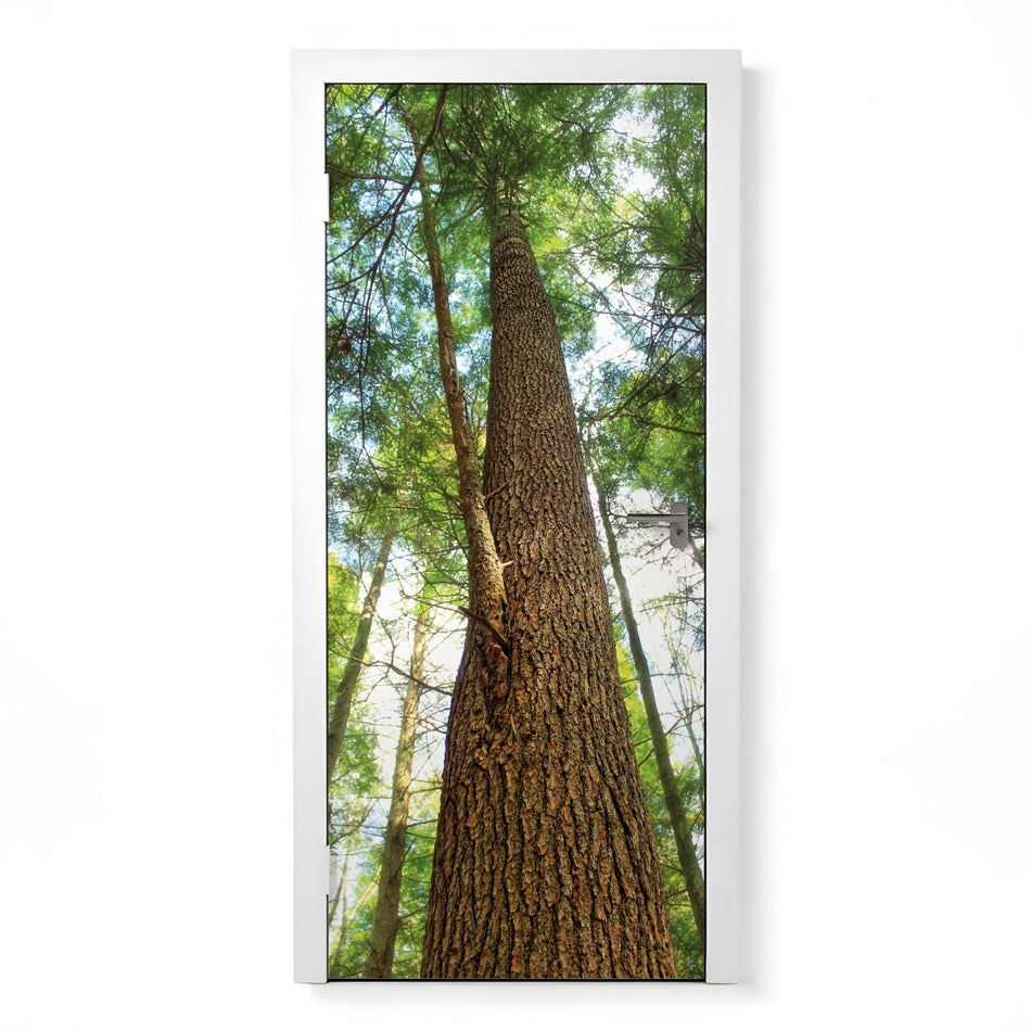 Türfolie Selbstklebend nach maß