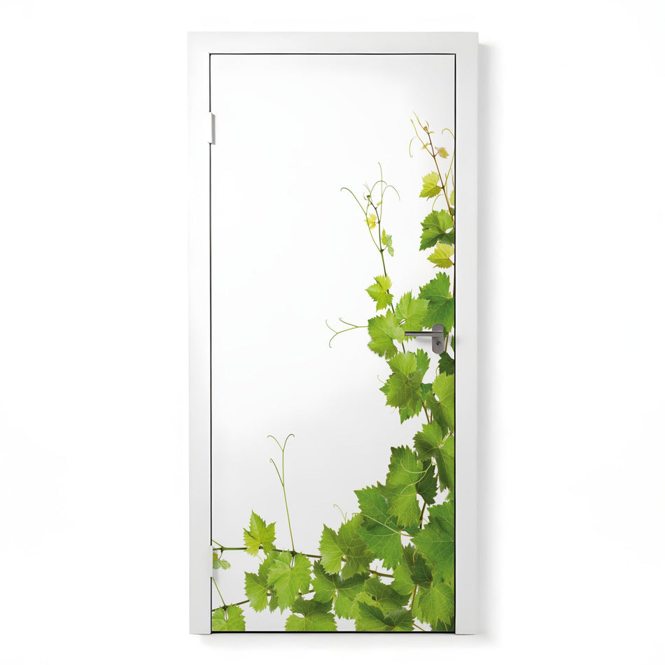 Türfolie Selbstklebend nach maß