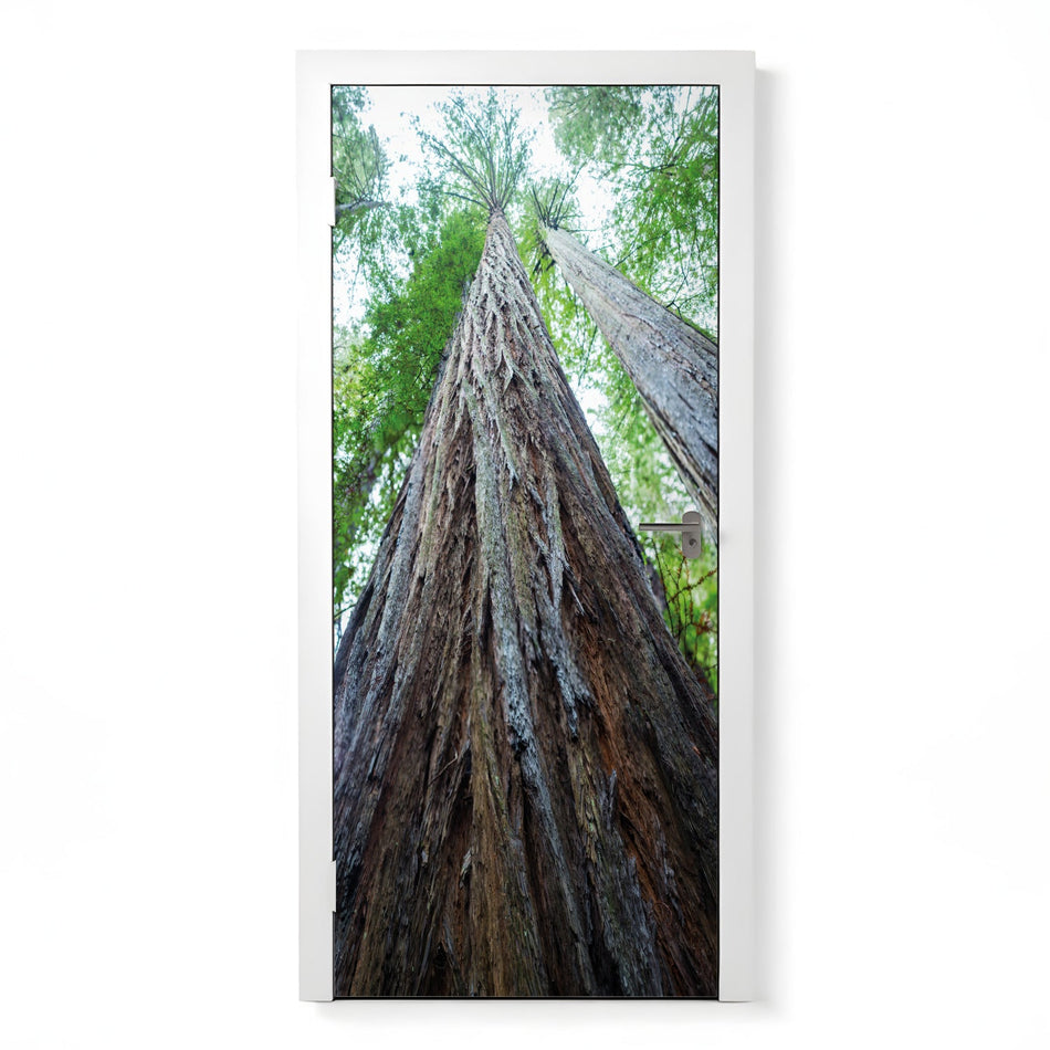 Türfolie Selbstklebend nach maß