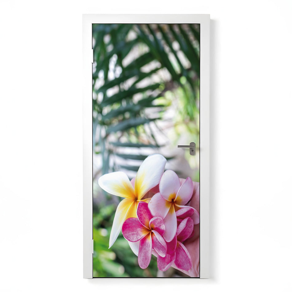 Türfolie Selbstklebend nach maß