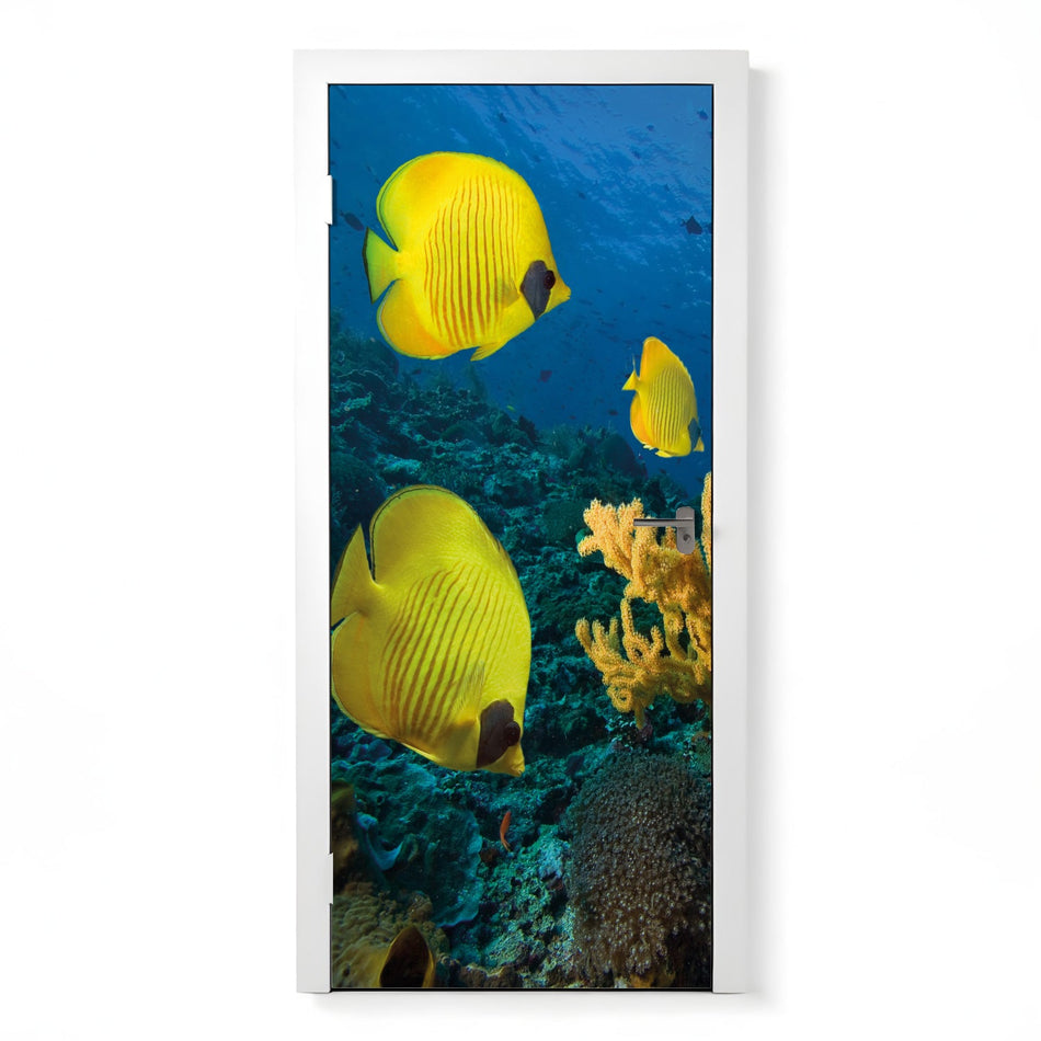 Türfolie Selbstklebend nach maß