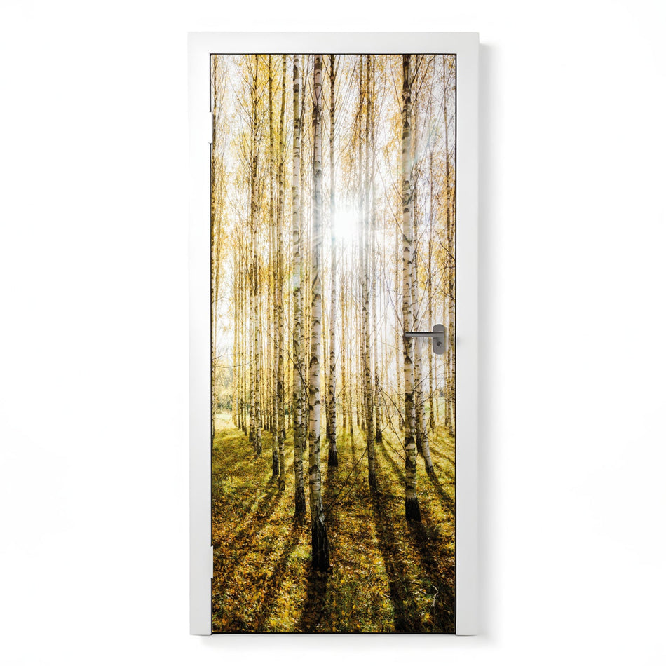 Türfolie Selbstklebend nach maß