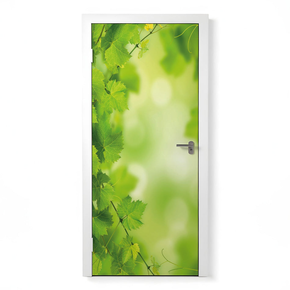 Türfolie Selbstklebend nach maß