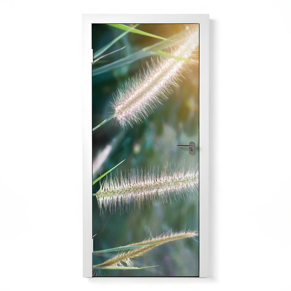 Türfolie Selbstklebend nach maß