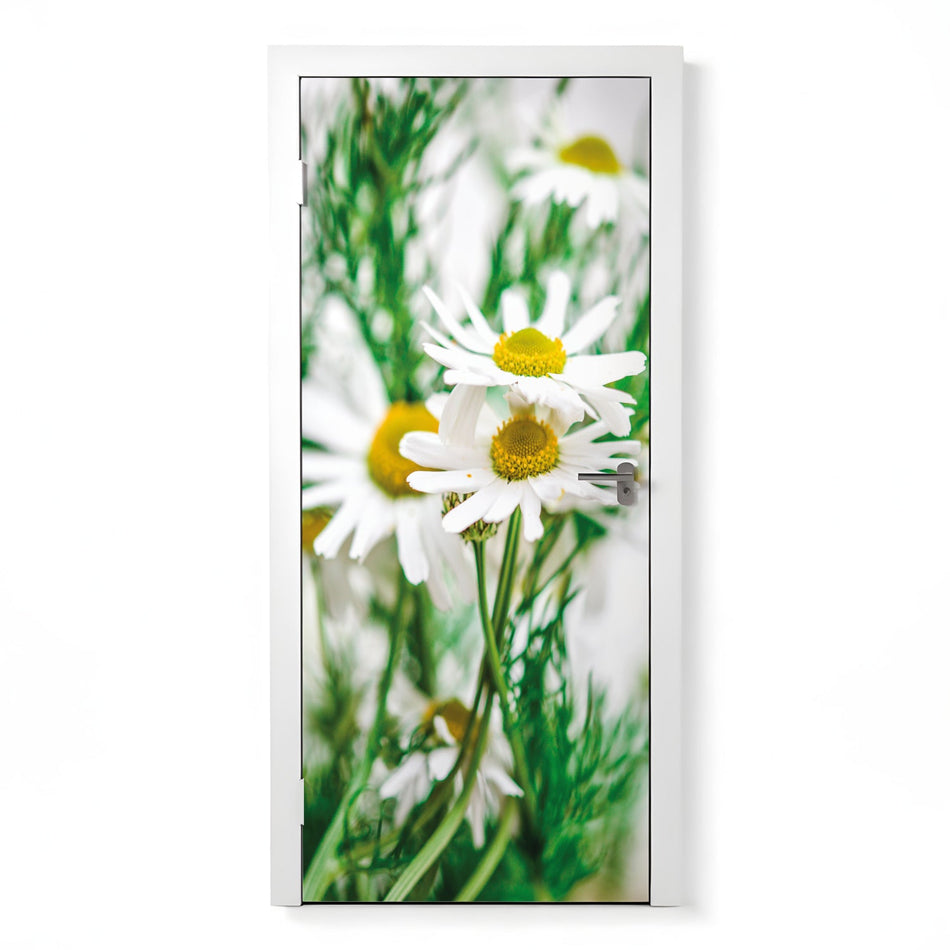 Türfolie Selbstklebend nach maß