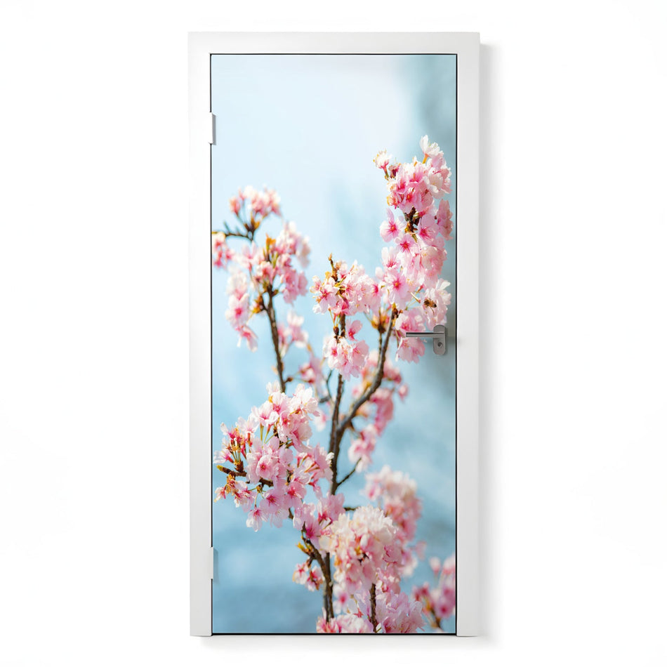 Türfolie Selbstklebend nach maß