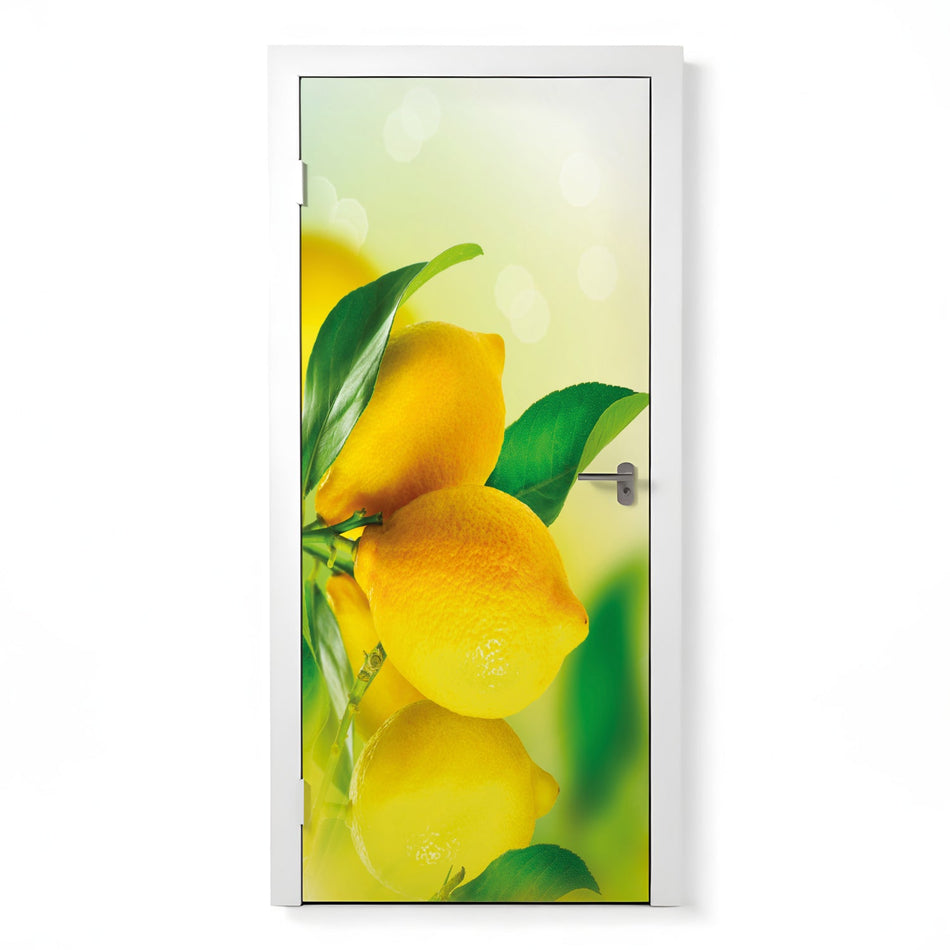 Türfolie Selbstklebend nach maß