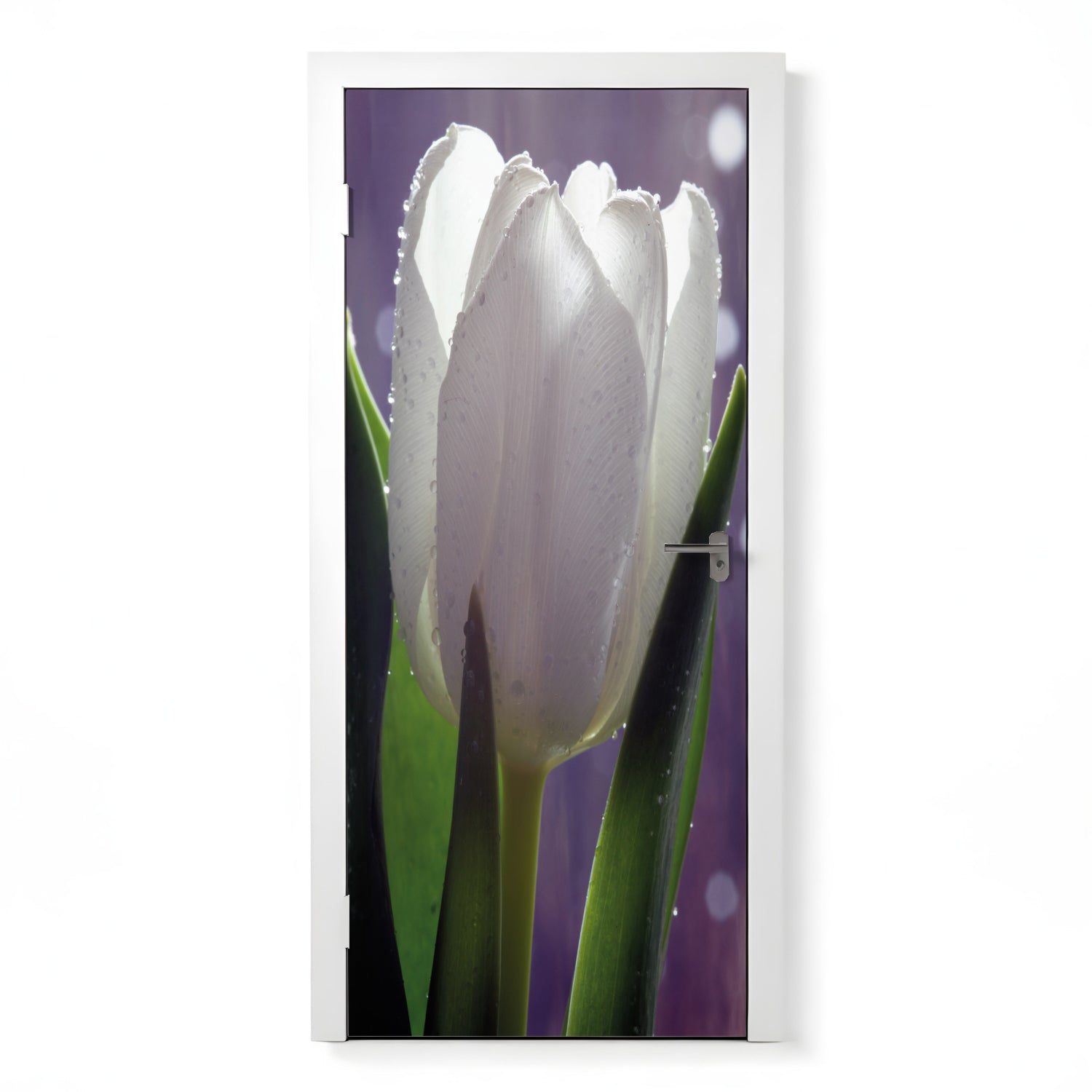 Türfolie Selbstklebend nach maß