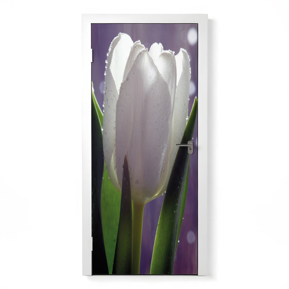 Türfolie Selbstklebend nach maß