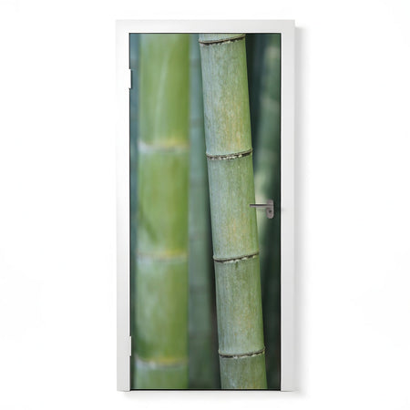 Türfolie Selbstklebend nach maß