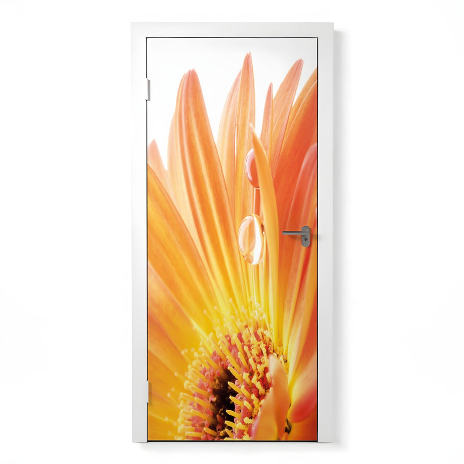 Türfolie Selbstklebend nach maß