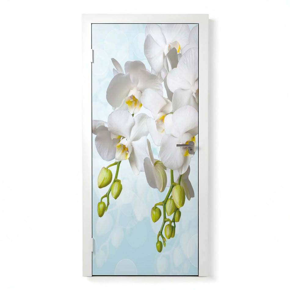 Türfolie Selbstklebend nach maß