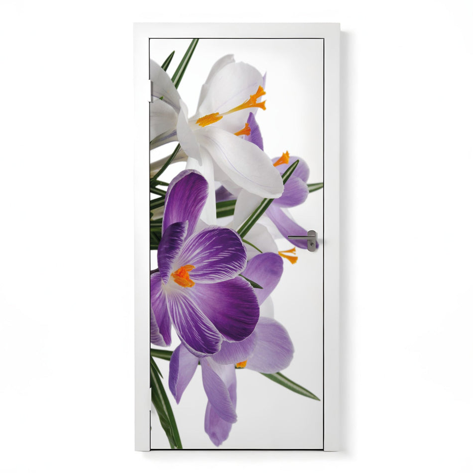 Türfolie Selbstklebend nach maß