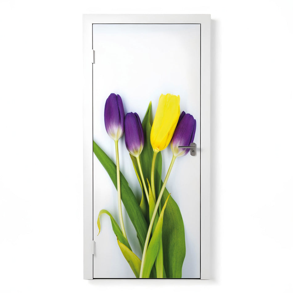 Türfolie Selbstklebend nach maß