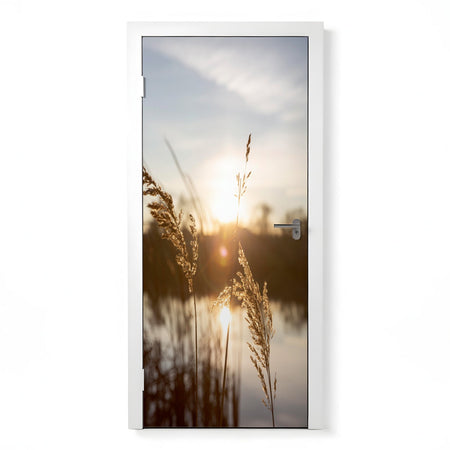 Türfolie Selbstklebend nach maß