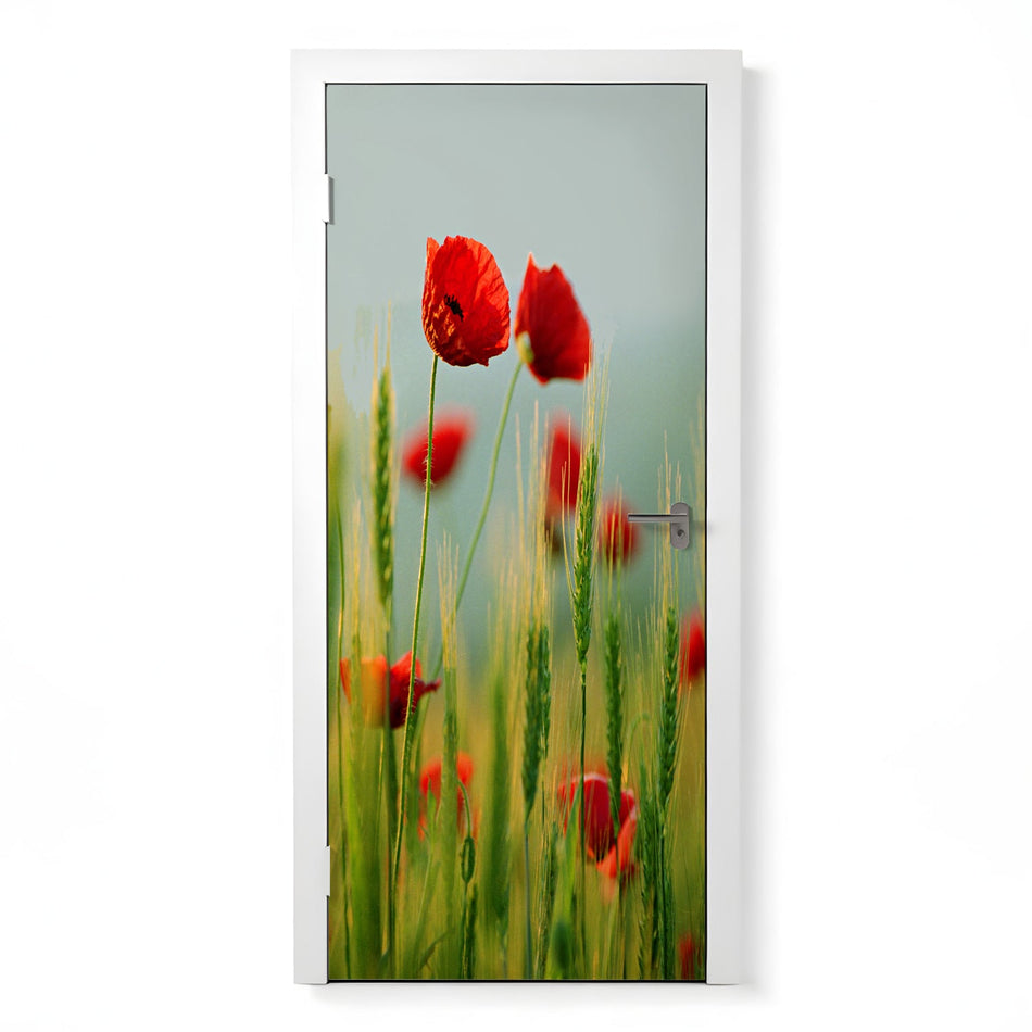 Türfolie Selbstklebend nach maß