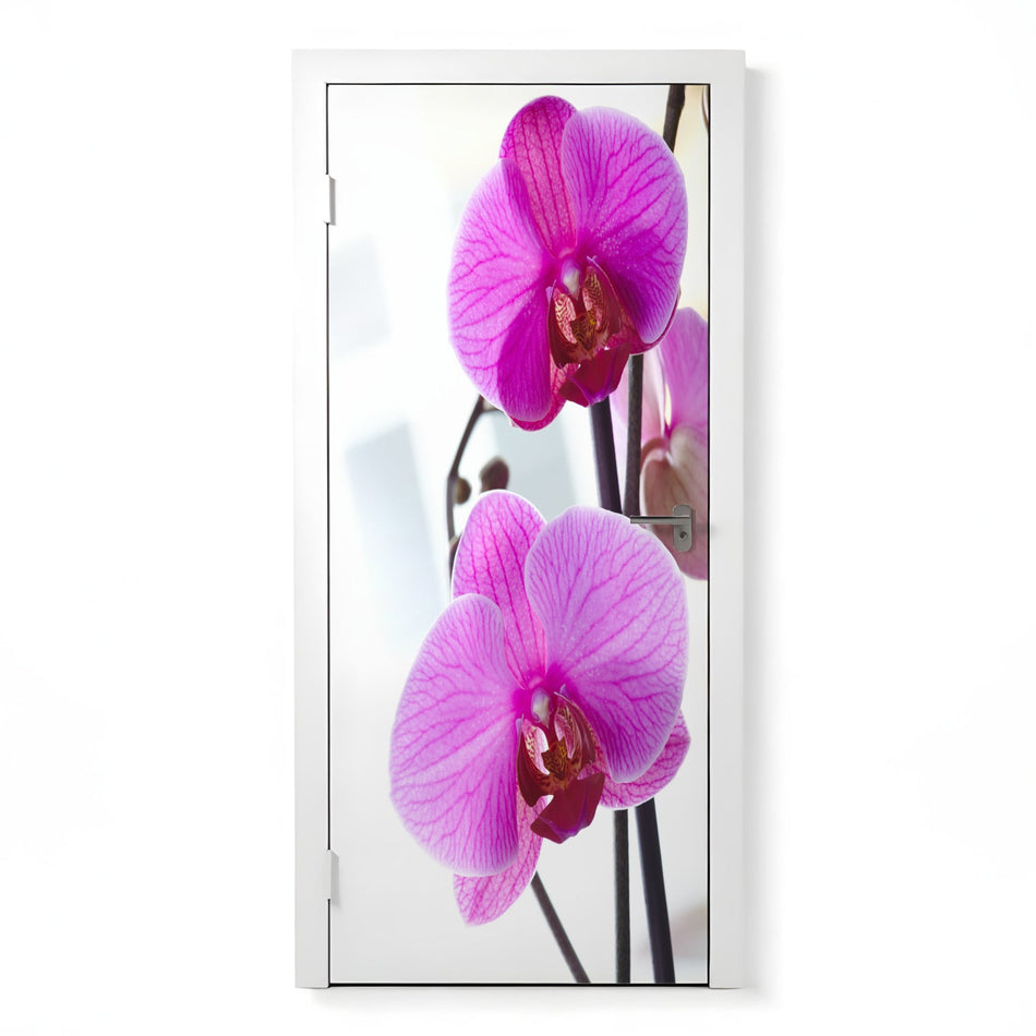 Türfolie Selbstklebend nach maß