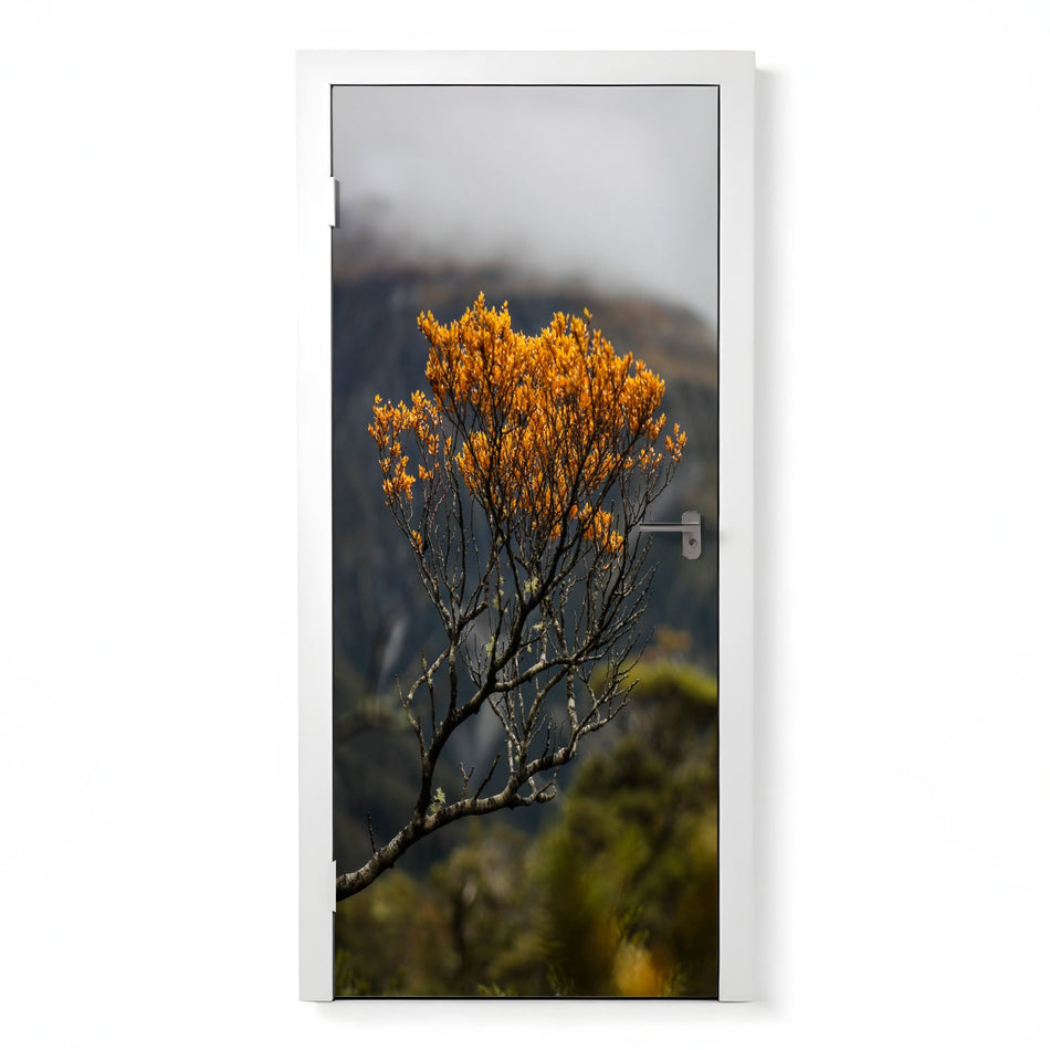 Türfolie Selbstklebend nach maß