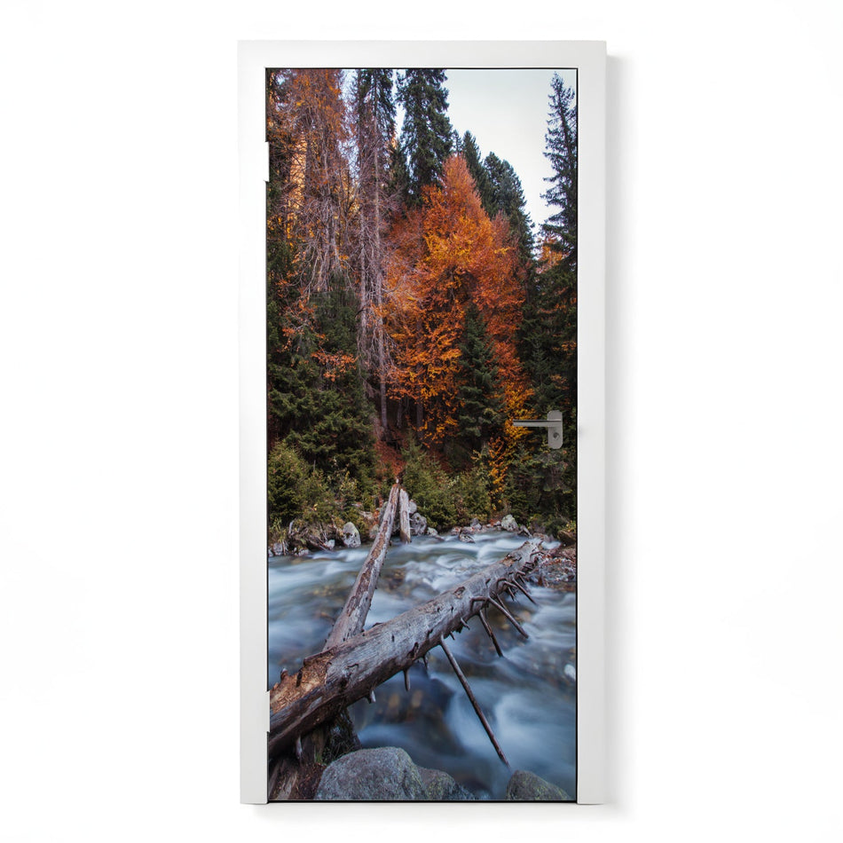 Türfolie Selbstklebend nach maß