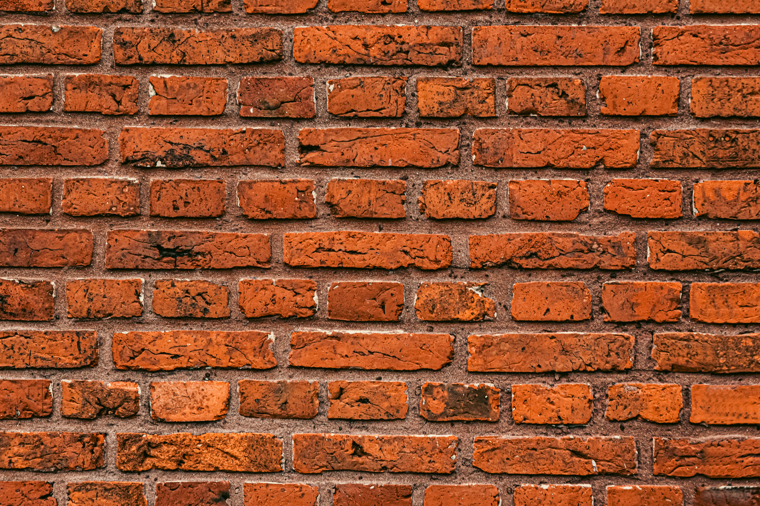 Badrückwand Steinoptik