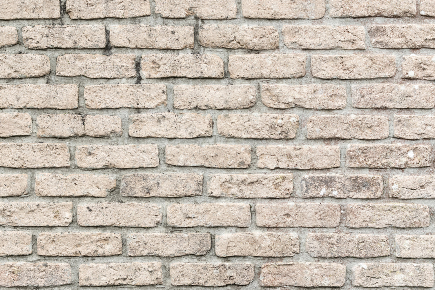 Badrückwand Steinoptik