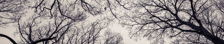Badrückwand