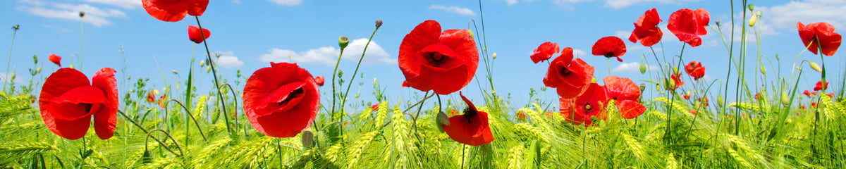 Waschbeckenrückwand
