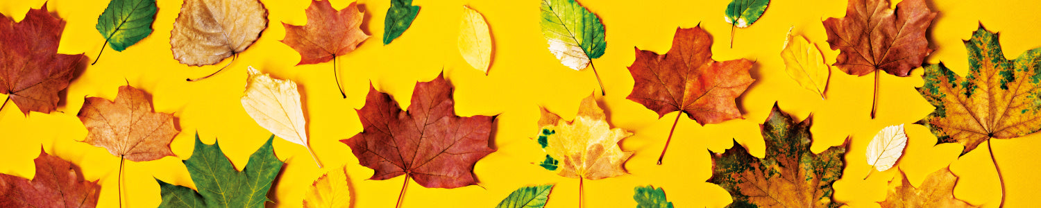 Badewannenverkleidung